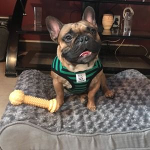 Meet your Posher, Ralph